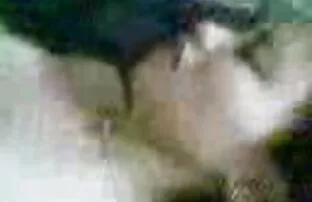 మలయ్ గ్యాంగ్‌బ్యాంగ్