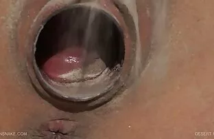 - ఎడారి గుండె 1