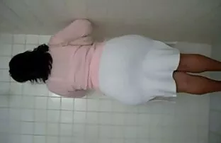 మెక్సికన్ గాడిద 3.