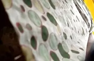అప్‌స్కిర్ట్ వాయూర్ గూ y చారి