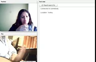 వెబ్‌లో ఫ్లాష్