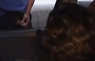 బహిరంగంగా సెక్స్ తీసుకునే ఇద్దరు బ్రెజిలియన్ పసికందు