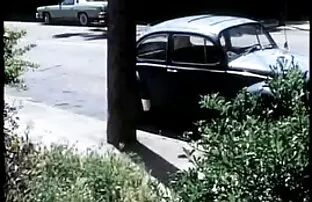 ఎ మైల్ ఆఫ్ మీట్ - జాన్ హోమ్స్