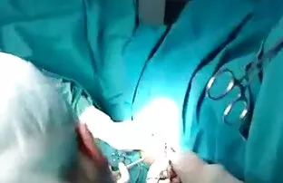 మీ పెరట్లో ఏదో ఉంది