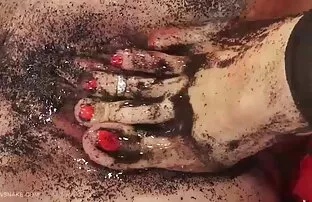 తులిప్-క్వీన్సెంకే. - -
