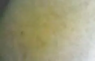 మలయ్ సెక్స్