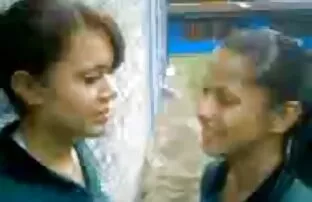 2 చిన్న డొమినికన్ బిచ్