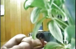ఆసియా వయోజన అమ్మాయి నవ్వు