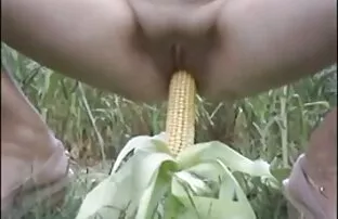 భారతదేశం