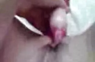 కుందేలు
