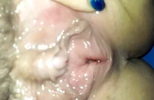 పిల్లి ఆడండి