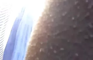 ఏదైనా రిబో