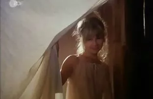 - సీతాకోకచిలుక