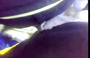 సెక్సీ డాగ్ మూవీ