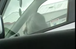 పరిపక్వం చెందడానికి