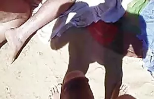 బీచ్ పందులు