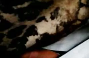 ప్రెస్ బస్సు