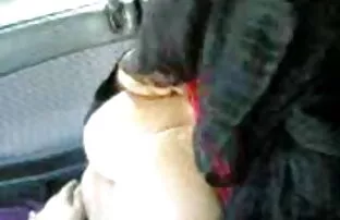 అరబ్ హిజాబ్ అమ్మాయి బ్రాలో పెద్ద టిట్స్ చూపిస్తోంది