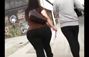 వాయూర్ అరబ్ పెద్ద గాడిద