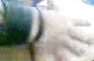 మలయ్ పరిహారం